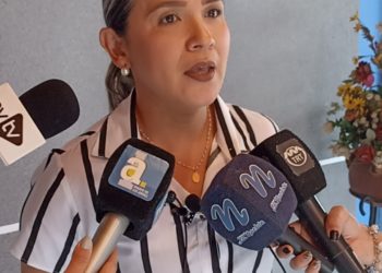 Karim Vera: “El CNE anuncia la realización de un proceso que viola la normativa electoral”