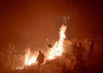 Bomberos llaman a la conciencia: Incendios forestales siguen afectando a Boconó