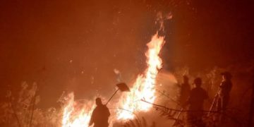 Bomberos llaman a la conciencia: Incendios forestales siguen afectando a Boconó