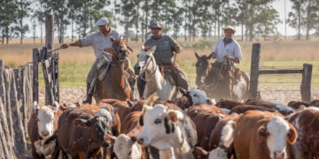 La seguridad alimentaria, clave para frenar brotes transfronterizos de enfermedades