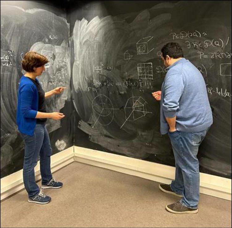 Los matemáticos Luz Roncal y Mateo Sousas, del equipo de "Dinámica compleja e inferencia no paramétrica", en una reunión de trabajo. Imagen facilitada por la Agencia Estatal de Investigación (AEI) con motivo del Día de Pi. EFE