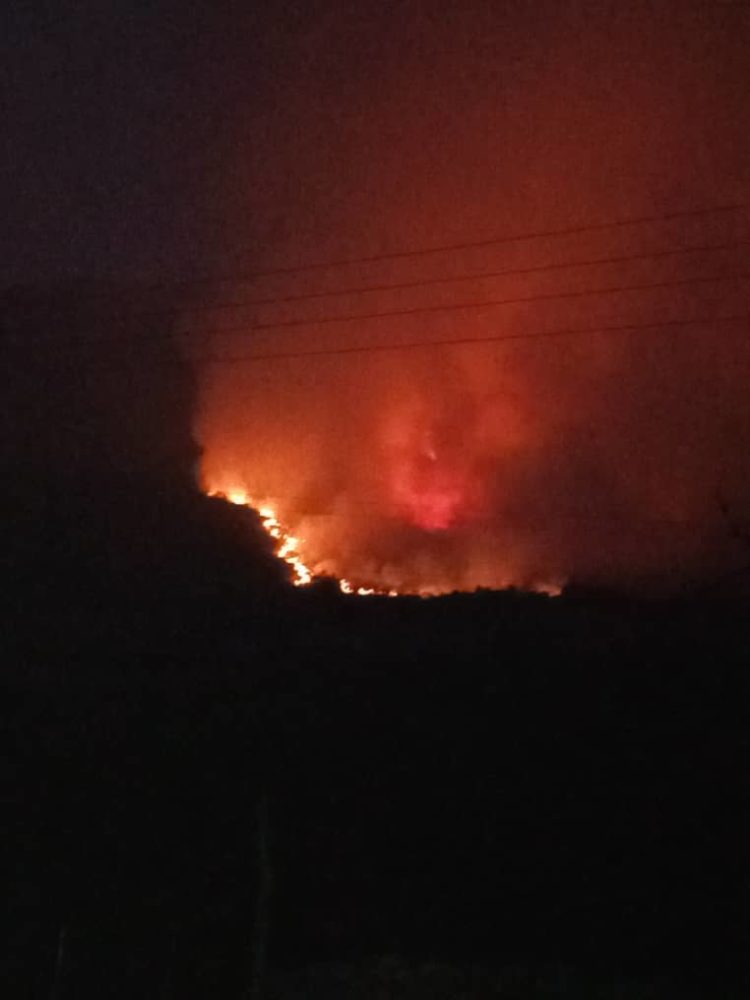 Controlado 99% del incendio en Parque Nacional Sierra Nevada