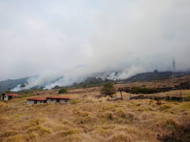 Controlado 99% del incendio en Parque Nacional Sierra Nevada