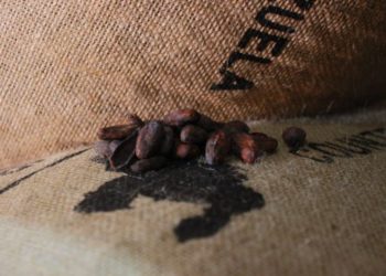 Mérida certifica exportación de cacao hacia Estonia e Indonesia