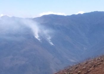 Piden apoyo para luchar contra los incendios forestales en Niquitao