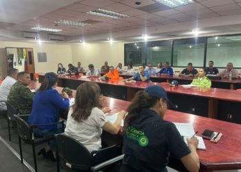 Implementarán plan de suministro de diésel para altos consumidores en Mérida