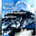 Chegué, histórico, fenomenológico y místico / Por Oswaldo Manrique