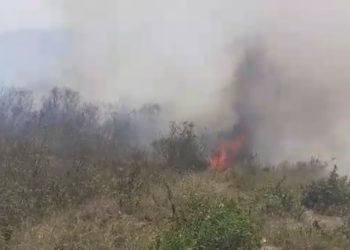 Boconó nublado por el humo: Incendios forestales alarman a la población 