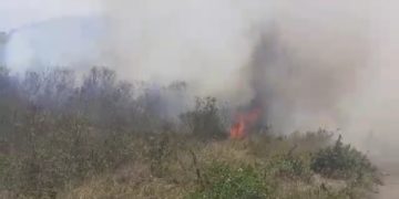 Boconó nublado por el humo: Incendios forestales alarman a la población 