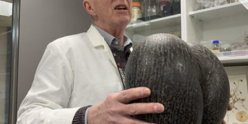 El mayor banco de semillas del mundo invierte en el futuro del planeta