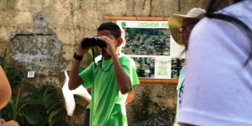 La ciencia ciudadana marca la diferencia en la conservación de aves