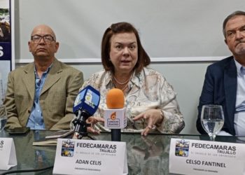 Vicepresidenta de Fedecámaras: Ley de Armonización Tributaria estandariza los impuestos, todos se han ido a los “topes máximos”
