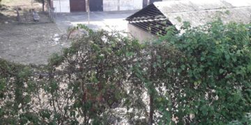 Denuncian falta de mantenimiento en los alrededores del Hospital de Boconó