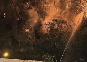 Mérida asechada por incendios forestales
