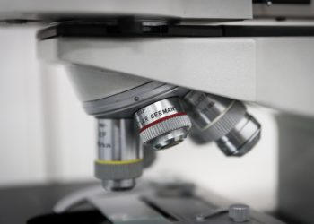 La catalogación de las bacterias en la metástasis ayudará a afinar los tratamientos