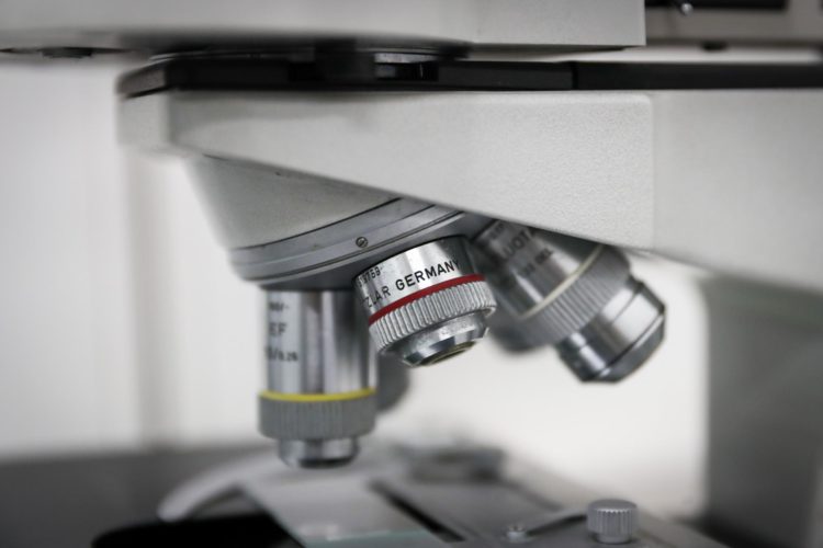 Vista de un microscopio en un laboratorio, en una fotografía de archivo. EFE/Raúl Martínez