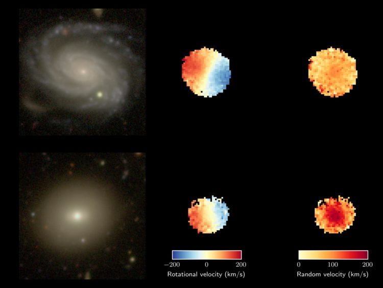 Comparación de una galaxia joven (arriba) y una vieja (abajo) observadas como parte del SAMI Galaxy Survey. La superior tiene una edad media de 2.000 millones de años, una rotación alta y un movimiento aleatorio bajo. La inferior tiene una edad media de 12.500 millones de años, una rotación más lenta y un movimiento aleatorio mucho mayor. Crédito: Image from the Hyper Suprime-Cam Subaru Strategic Program/SOLO USO EDITORIAL