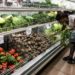 La canasta básica de alimentos en Venezuela sube en marzo a 554,26 dólares, según Cendas-FVM