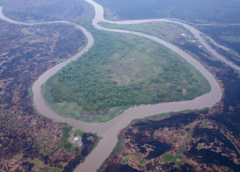 Los incendios en la Amazonía brasileña aumentaron un 61 % en marzo