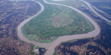 Los incendios en la Amazonía brasileña aumentaron un 61 % en marzo