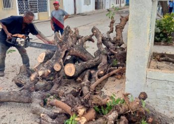 Cuadrillas de Ornato de Sucre laboran en  trabajos de limpieza en Junín y el Paraíso