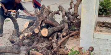 Cuadrillas de Ornato de Sucre laboran en  trabajos de limpieza en Junín y el Paraíso