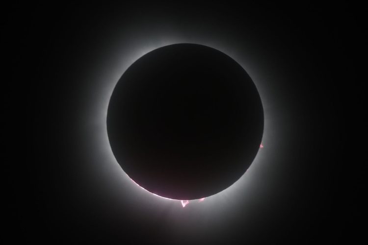 Imágenes del eclipse solar en Dripping Springs, Texas, EE.UU., el 8 de abril de 2024. EFE/ADAM DAVIS
