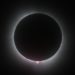 La oscuridad total llega por Texas a EE.UU. de la mano del eclipse solar