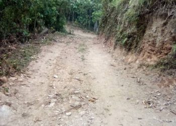 Vecinos de Las Negritas tomaron «pico y pala» para arreglar sus vías ante la falta de ayuda gubernamental
