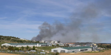 Mueren en España 600.000 gallinas por el incendio de una granja avícola