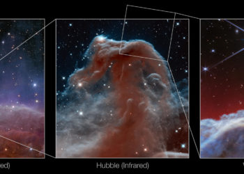 El telescopio James Webb capta la nebulosa «Cabeza de Caballo» con un detalle sin precedentes