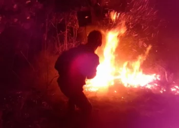 Estas son las consecuencias de los incendios forestales en Carabobo