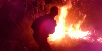 Estas son las consecuencias de los incendios forestales en Carabobo