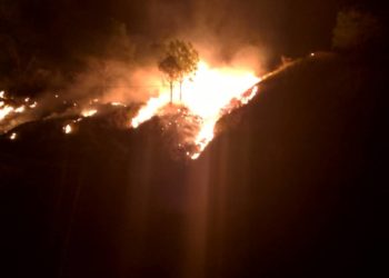Bomberos Boconó realizan maniobras para combatir incendio forestal