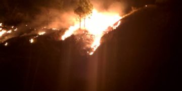 Bomberos Boconó realizan maniobras para combatir incendio forestal