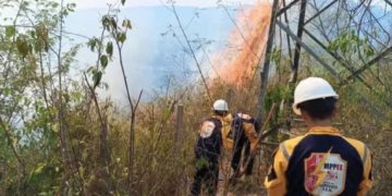 Gerente de Corpoelec-Trujillo: incendios forestales limitan transmisión de energía eléctrica al estado
