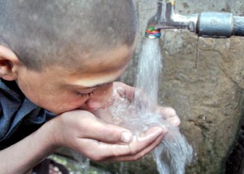 Identifican las células que protegen las vías respiratorias del agua o la acidez