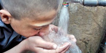 Identifican las células que protegen las vías respiratorias del agua o la acidez