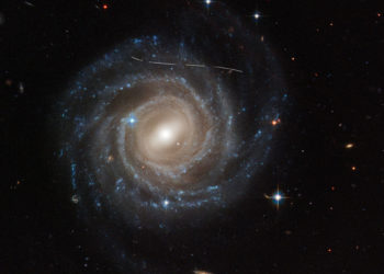 Aficionados a la ciencia de todo el mundo descubren más de 1.000 asteroides no catalogados