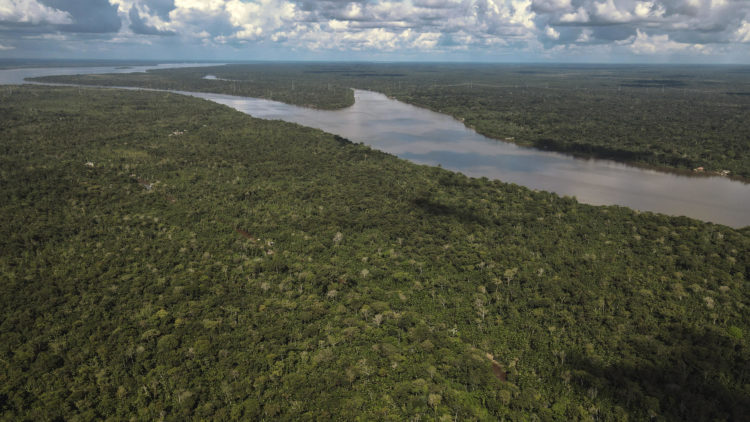 Fotografía de archivo fechada el 4 de abril de 2023 que muestra una vista aérea de una zona de la Floresta Amazónica, en el estado de Pará (Brasil). EFE/ Antonio Lacerda