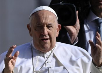 El papa asegura que la vida humana se debe proteger «hasta la muerte natural»