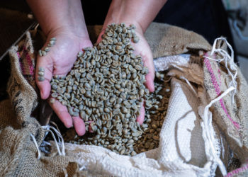Brasil registra en abril un nuevo récord de sus exportaciones de café