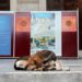 Turquía estudia sacrificar a 4 millones de perros callejeros si no se les encuentra dueño