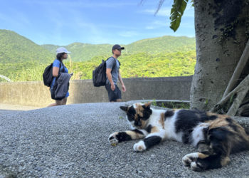 Houtong, el pueblo taiwanés que cambió las minas de carbón por el amor a los gatos