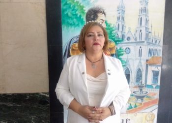 Concejal Iraly Guerrero: “Remodelación” del Parque Los Ilustre carece de la legitimidad municipal