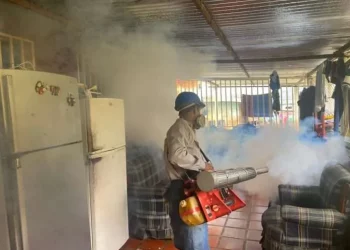 Fundasalud confirma repunte de casos de dengue en Trujillo