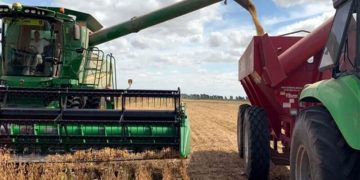 Arroz, Extensión de siembra, lluvias y combustible | Por: Isaías Márquez