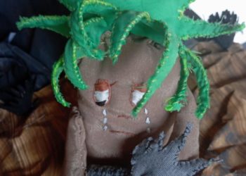 Importancia de los frailejones destacan en evento conmemorativo de Día de la Tierra en Trujillo
