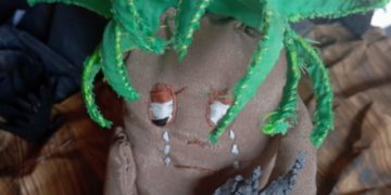 Importancia de los frailejones destacan en evento conmemorativo de Día de la Tierra en Trujillo