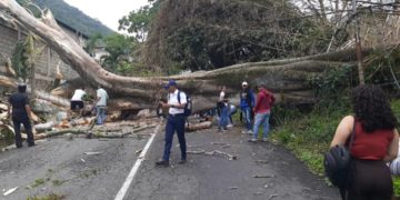 PC-Trujillo: 230 funcionarios están desplegados para atender contingencias relacionadas a la temporada de lluvias